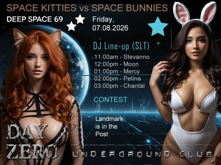 Space Kitties vs Space Bunnies